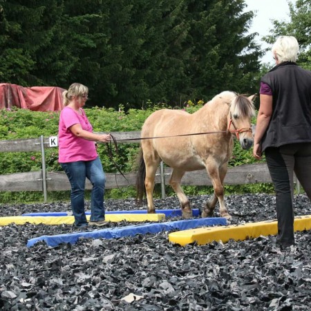 Equikinetic Kurs in Bielefeld